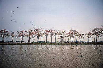 《DUNGEON SLASHER》Steam页面上线 支持中文